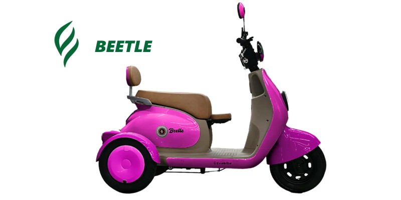 Modelo Beetle